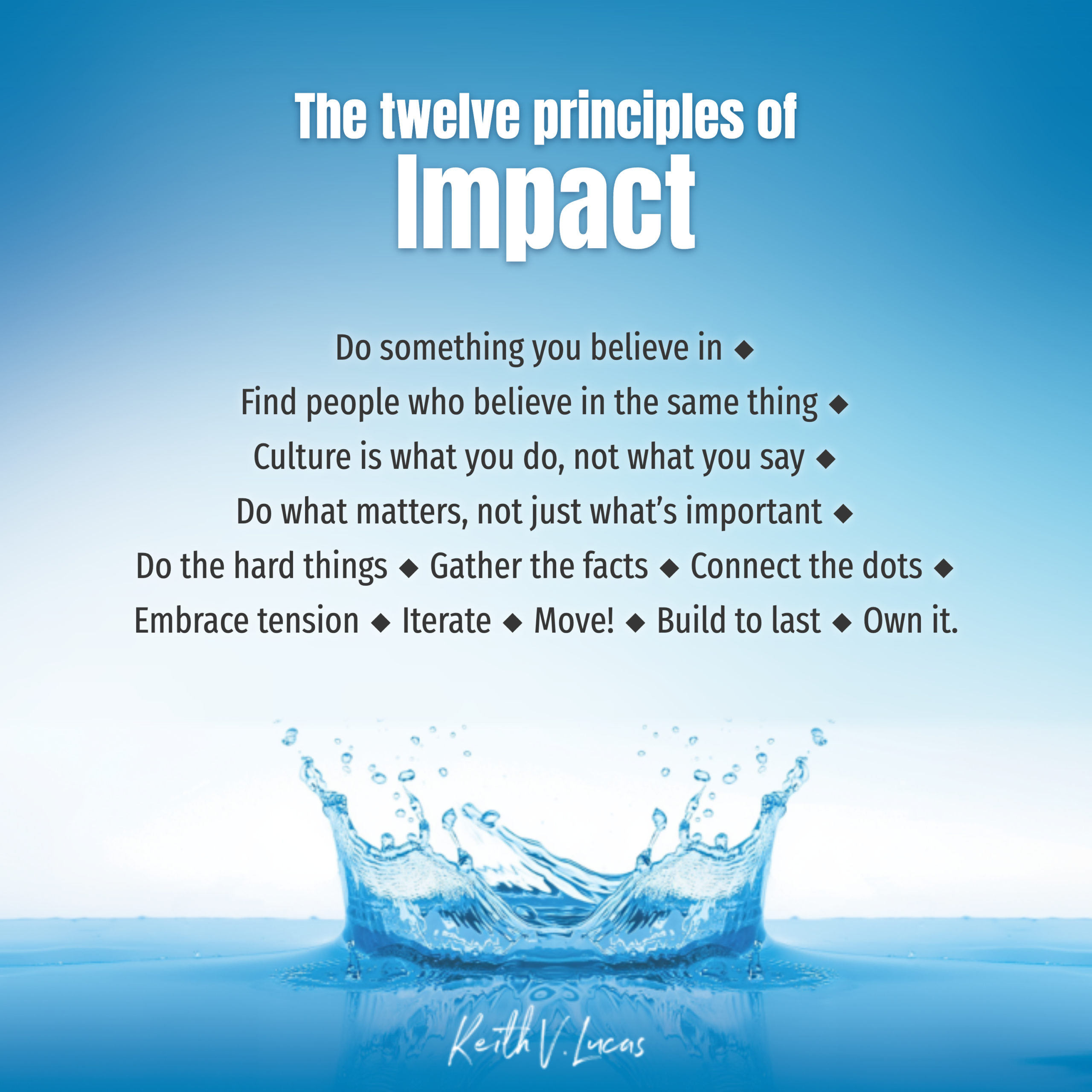 The 12 Principles of Impact